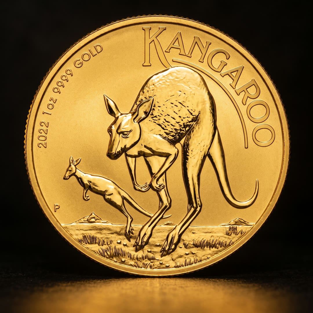 Australian Kangaroo gold coin, kangaroo and joey side, straight on